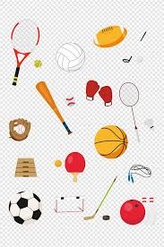 MLB赛季黑马球队共性分析